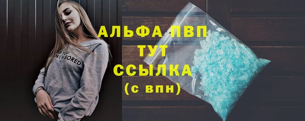 PSILOCYBIN Гусь-Хрустальный