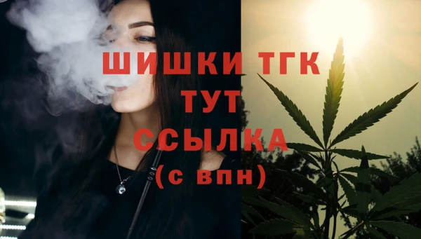 PSILOCYBIN Гусь-Хрустальный
