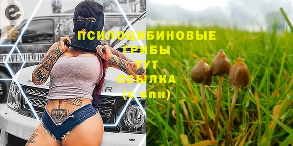 гашишное масло Гусев