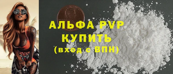 PSILOCYBIN Гусь-Хрустальный