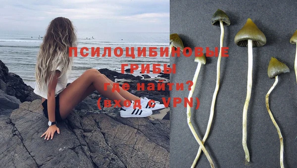 гашишное масло Гусев